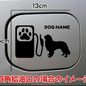 【送料無料】キャバリア Cavalier 給油口 ステッカー リアガラス 車 犬