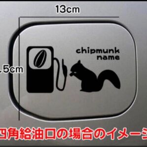 【送料無料】しまりす シマリス 給油口 ステッカー リアガラス 車 シルエット