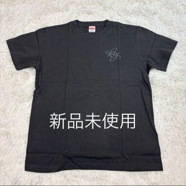 ☆新品未使用 千葉ロッテマリーンズ 安田尚憲 トレーニング 2024 Tシャツ Mサイズ