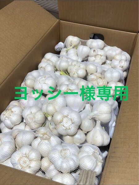 青森県産にんにく L 20kg 発芽