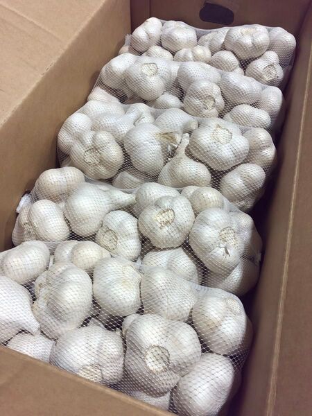青森県産 にんにく M 10kg 大特価 黒にんにくおすすめ
