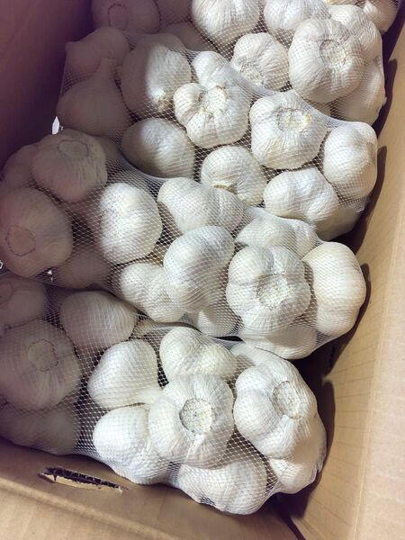 青森県産にんにく ML10kg おすすめ