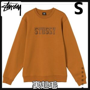 ステューシー STUSSY 3D Collegiate Applique 118403 刺繍スウェットトレーナー