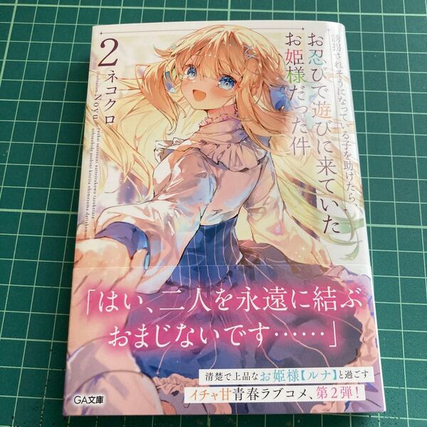 誘拐されそうになっている子を助けたら、お忍びで遊びに来ていたお姫様だった件 2 (GA文庫 ね-02-02) ネコクロ/著
