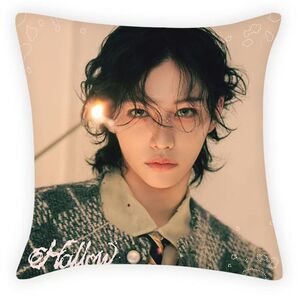 STRAYKIDS ストレイキッズ フィリックス クッションカバー