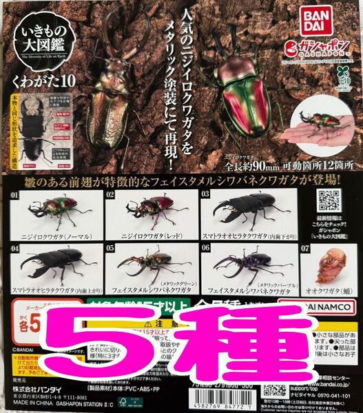 いきもの大図鑑 くわがた10弾 5種 ガチャ