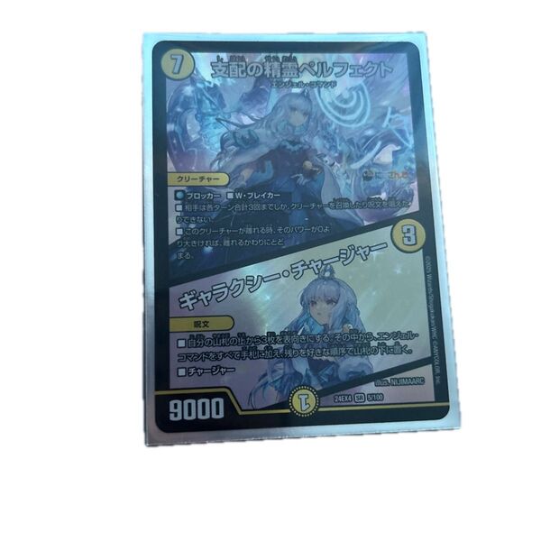 デュエルマスターズ 支配の精霊ペルフェクト 24EX4 SR 5/100