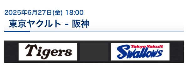 6/27 神宮 ヤクルト 阪神 チケット(レフト側)