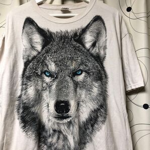 ★US古着★ FRUIT OF THE LOOM オオカミ ビッグプリントTシャツ 半袖 メンズ アニマルプリント アメリカ古着