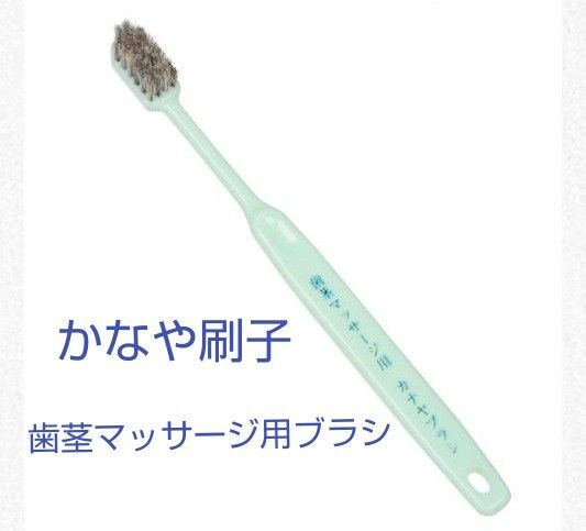 かなや刷子 歯茎マッサージ用ブラシ 2本セット 歯ブラシ オーラルケア