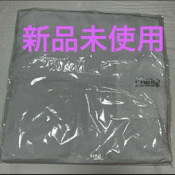 SnowMan LIVE TOUR 2021 Mania ツアーTシャツ