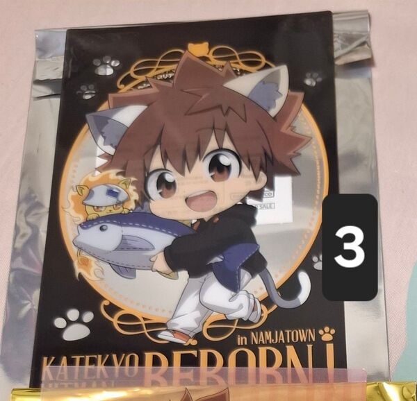 家庭教師ヒットマンREBORN 沢田綱吉