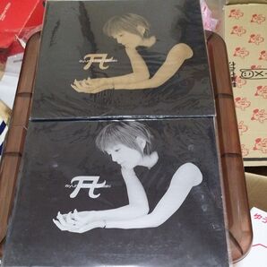 ayumi hamasaki レコード2枚