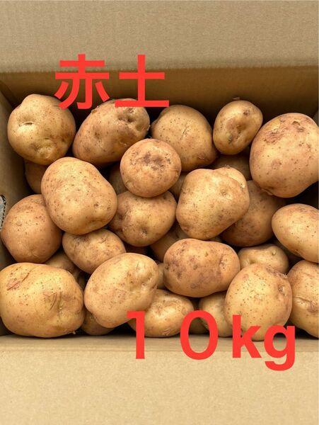 赤土新じゃがいも 10kg