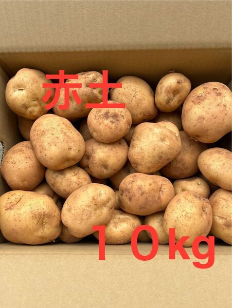 赤土新じゃがいも 10kg