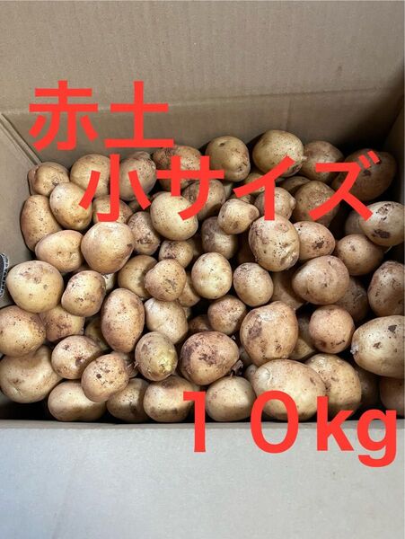 赤土新じゃがいも 10kg