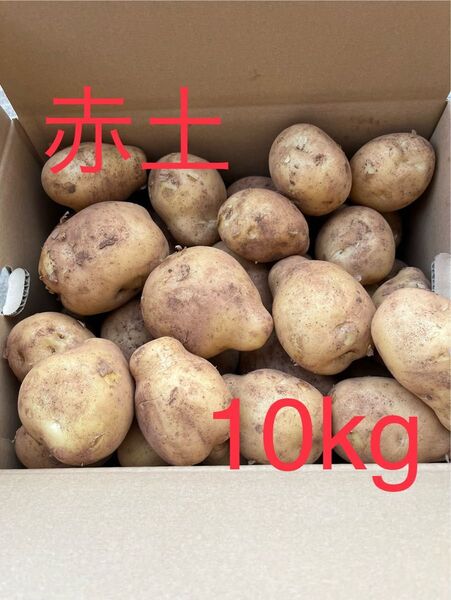 赤土新じゃがいも 10kg