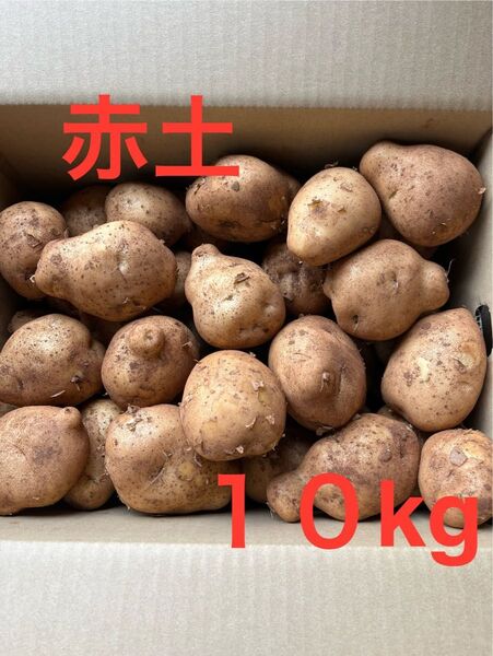 赤土新じゃがいも 10kg