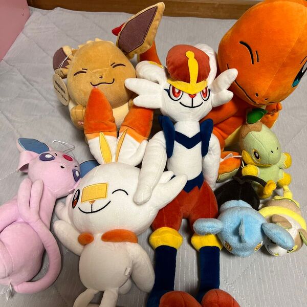 ぬいぐるみ ポケモン ポケットモンスター まとめ売り
