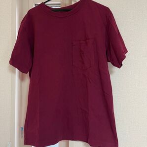 ザノースフェイスパープルレーベル ポケットTシャツ