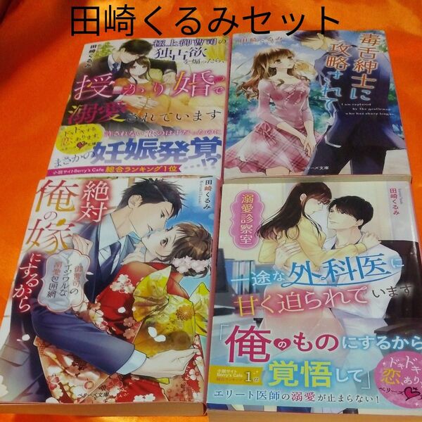極上御曹司の独占欲を煽ったら、授かり婚で溺愛されています (ベリーズ文庫 た4-16) 田崎くるみ/著 定価726円税込み価格tl