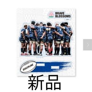 ラグビー 日本代表 アクリルスタンド レガシー2021 DISCIPLINE グッズ アクスタ フィギュア