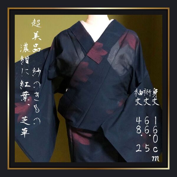 超美品【紗の夏着物】正絹 濃紺に紅葉 芝草 赤 ネイビー 夏物 きもの 広襟 和服 裄丈長め トール 大きめ