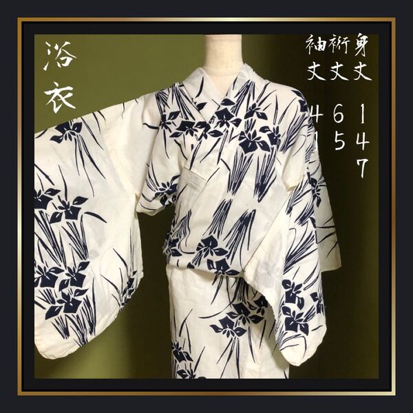 少々難あり【レディース浴衣】注染 本染め 綿コーマ 白地 菖蒲 小さめ 粋好み 昔ながらの 小さめ