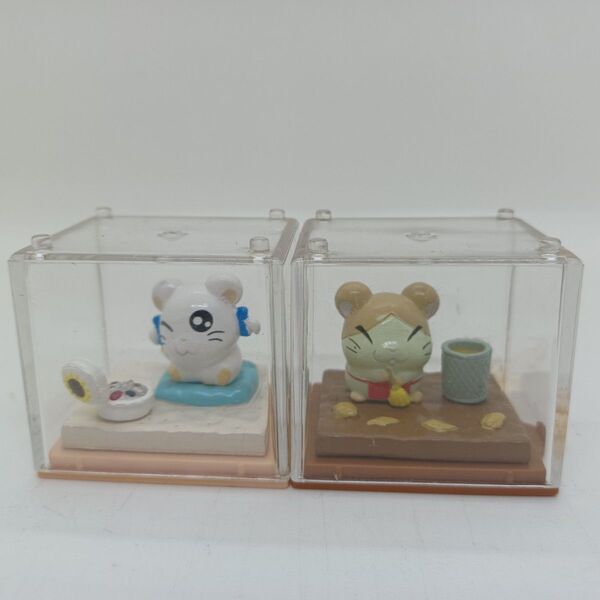 とっとこハム太郎 ボックスワールド リボンちゃん まいどくん 2点セット