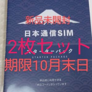 日本通信SIM スターターパック 日本通信 NT-ST2-P (67-7655-50) 期限10月末日 2枚セット