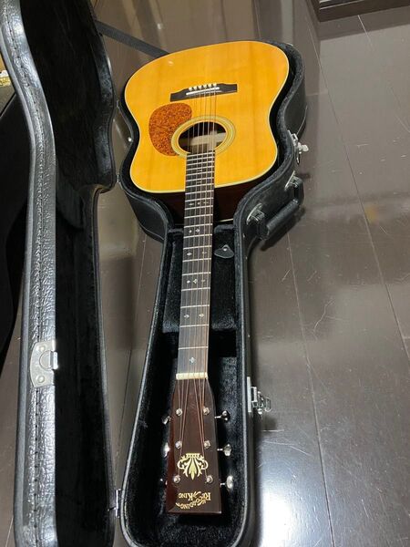 アコースティックギター recording king