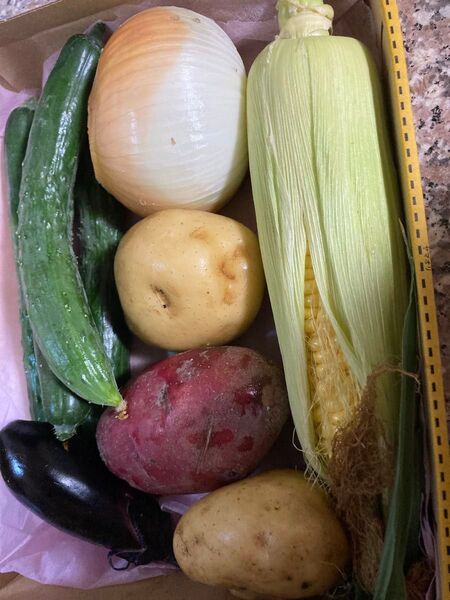 農薬不使用野菜セット、コンパクトBOX