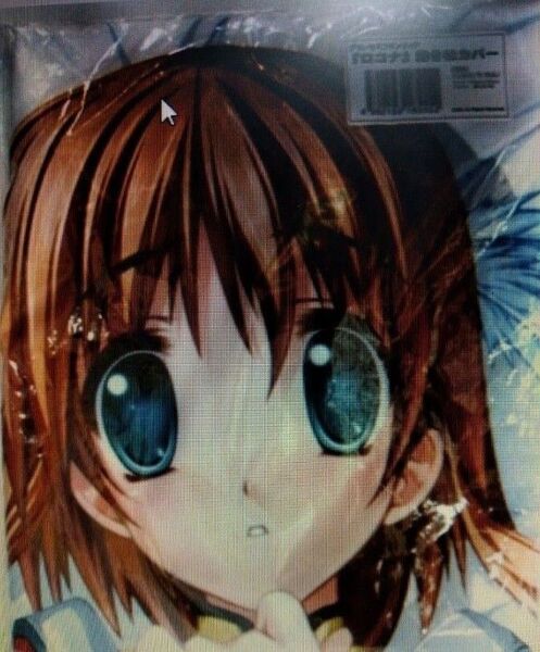 抱き枕カバー 美少女 プリンセスフロンティア ロコナ 抱き枕カバー axl 瀬之本久史 幼馴染