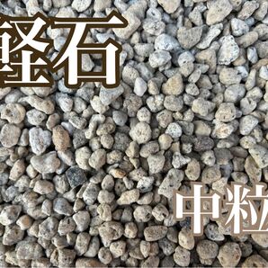 軽石 中粒 約2リットル 【匿名 洋蘭 山野草】