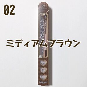 キャンメイク 02 ミディアムブラウン アイライナー クリーミータッチライナー ジェルライナー とろける書き心地