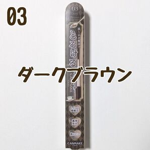 キャンメイク 03 ダークブラウン アイライナー クリーミータッチライナー ジェルライナー とろける書き心地