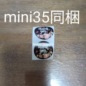 サンキューシール ステッカー 35枚 ゆうパケットポストmini ゆうパケットポストミニ 封筒 発送 専用