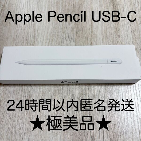 ★極美品・動作確認済★ Apple Pencil USB-C アップルペンシル USB C