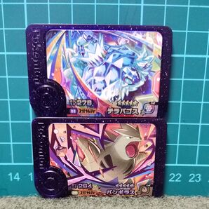 ポケモンフレンダ 第5弾 テラパゴス│バンギラス スーパートレジャー フレンダピック☆