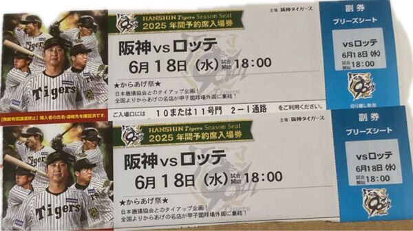 6/18(水) 阪神甲子園球場 阪神タイガースvs千葉ロッテマリーンズ ブリーズシート 2枚 連番