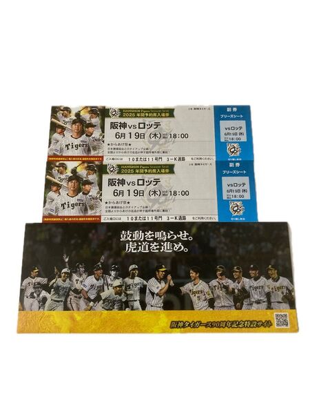 6/19(木) 阪神甲子園球場 セパ交流戦 阪神タイガースvs千葉ロッテマリーンズ ブリーズシート(3塁側内野席) 連番ペア2枚