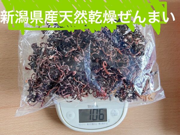 新潟県産 天然乾燥ぜんまい100g 無農薬 天然採取