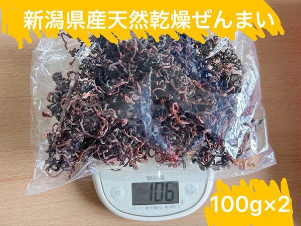 新潟県産 天然乾燥ぜんまい200g(100g×2) 無農薬 天然採取