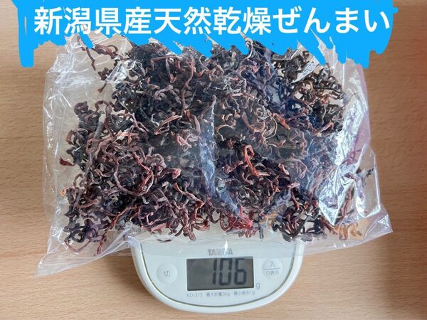 新潟県産 天然乾燥ぜんまい100g 無農薬 天然採取
