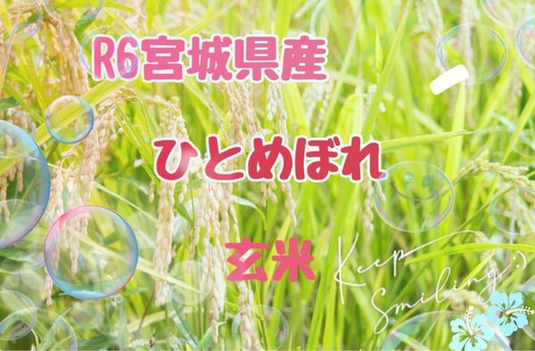 R6宮城県産 ひとめぼれ 玄米