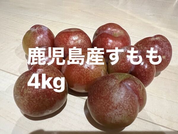鹿児島産すもも4kg