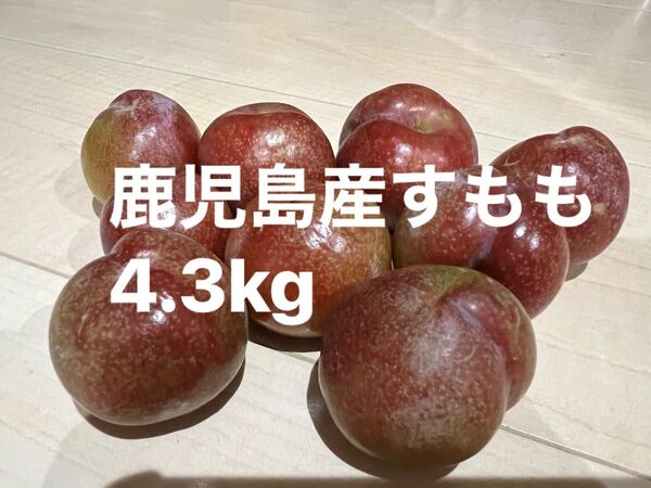鹿児島産すもも4.3kg