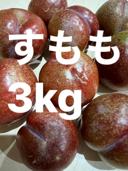 鹿児島産すもも3kg