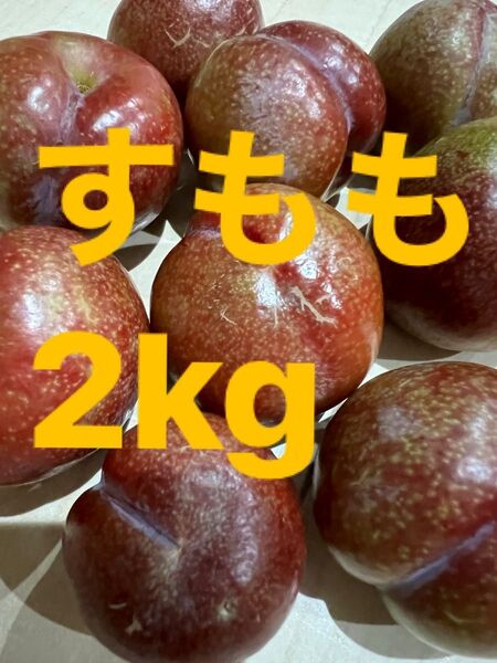 鹿児島産すもも2kg