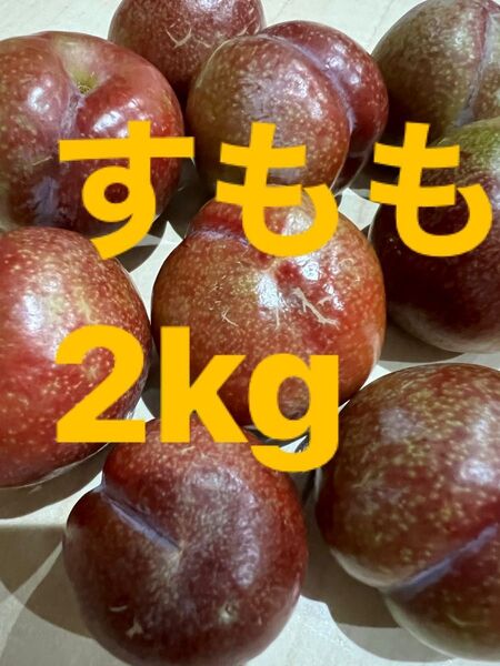 鹿児島産すもも2kg